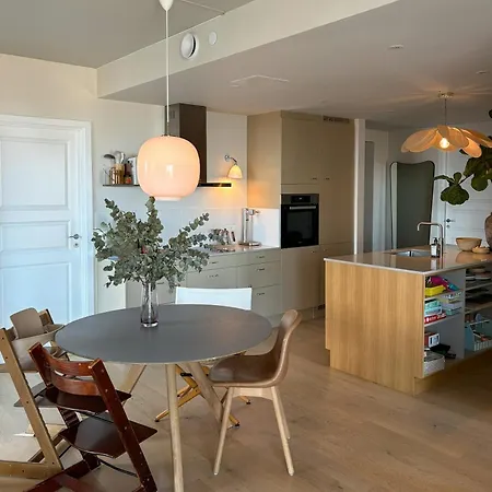 Flat On 16th Floor With View Of Oresund Copenhagen